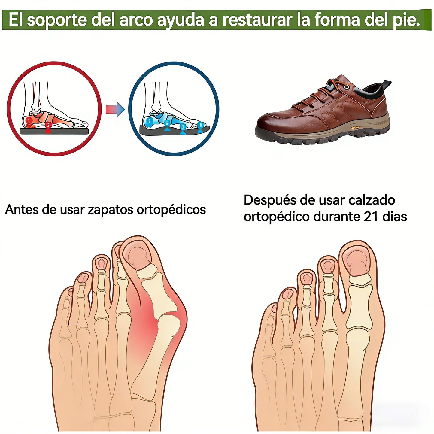 🔥RELOOG | Zapatos ortopédicos ergonómicos | Cuero premium 👞 | Cosidos a mano