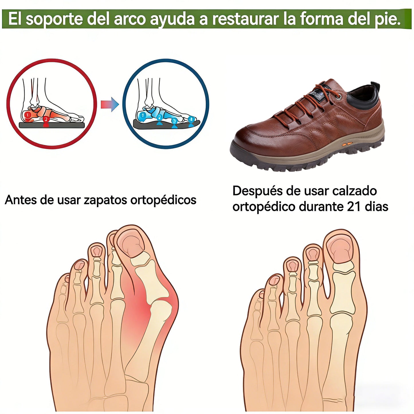 RELOOG | 🎁 Zapatos ortopédicos para personas mayores | Alivio del dolor | Cuero premium